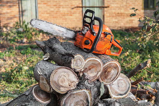 Large Tree Removal in Lake Leann, MI